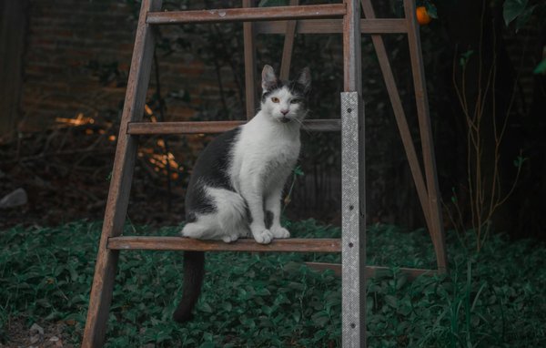 Mieux comprendre les programmes nationaux de dépistage pour les seniors